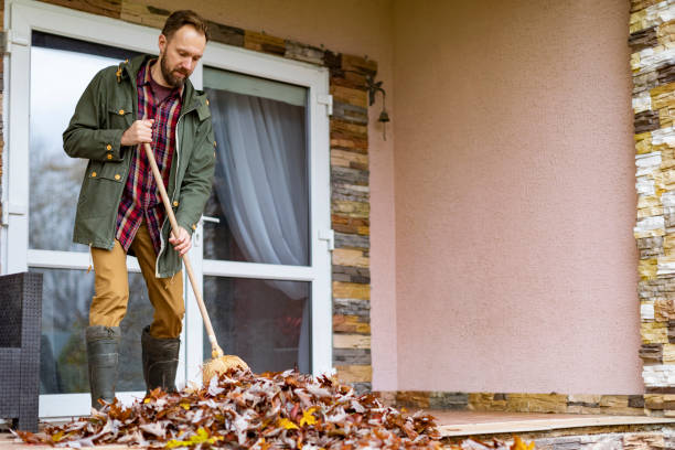 Best Trash Removal Near Me  in Grizzly Flats, CA